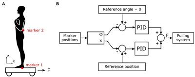 Inter-Individual Variability in Postural Control During External Center of Mass Stabilization